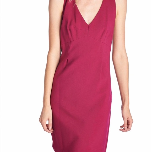 Trina Turk Dresses & Skirts - Trina Turk Suzy Loganberry Sleeveless Lined V-neck Dress 3602